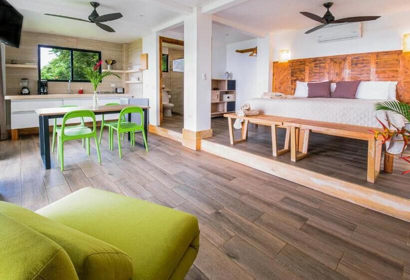 آپارتمان 1 خوابه با چشم‌انداز دریا, Funky Monkey Lodge