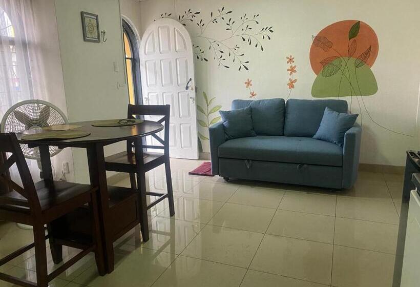 استودیو خانوادگی, Casa Familiar La Tortuga