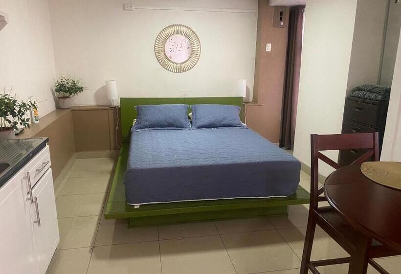 استودیو خانوادگی, Casa Familiar La Tortuga
