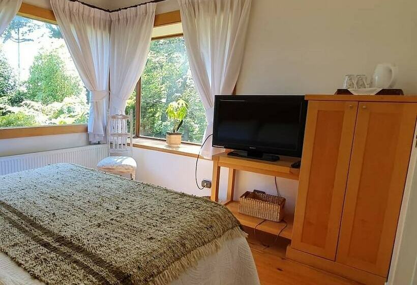 اتاق سوپریور, Canales Del Sur