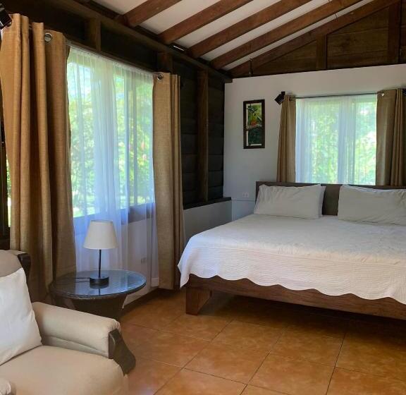 اتاق استاندارد با تراس, Colinas Del Miravalles Hotel & Hot Springs