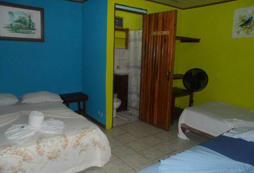 اتاق استاندارد سه نفره, El Icaco Tortuguero