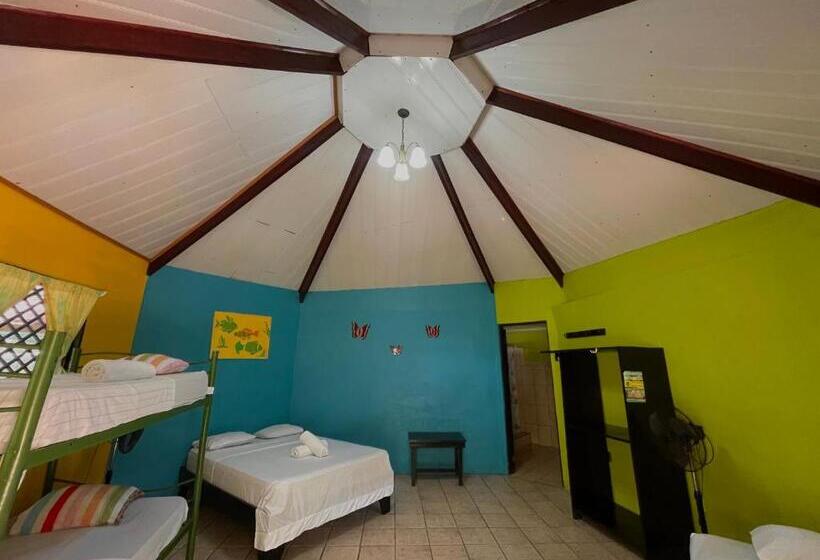 اتاق استاندارد چهار تخته, El Icaco Tortuguero