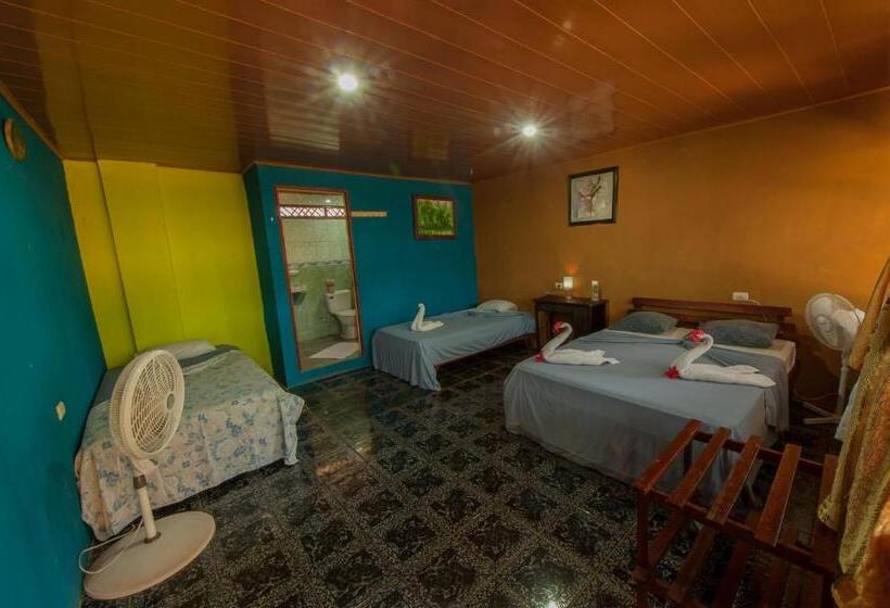 اتاق استاندارد چهار تخته, El Icaco Tortuguero