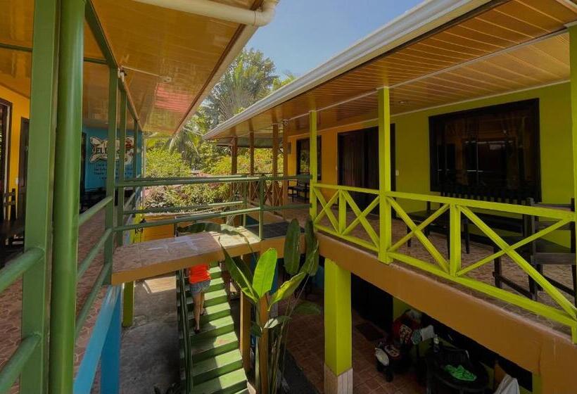 اتاق استاندارد, El Icaco Tortuguero