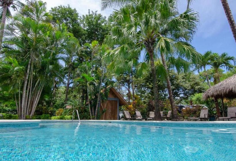 اتاق استاندارد, El Manglar