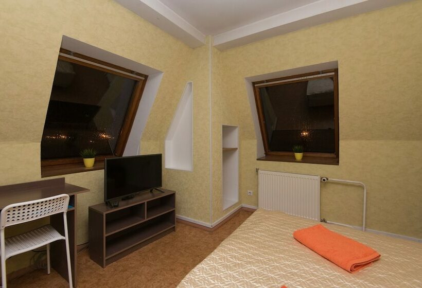 اتاق استاندارد یک تخته با سرویس بهداشتی مشترک, Guest House Orlovskiy