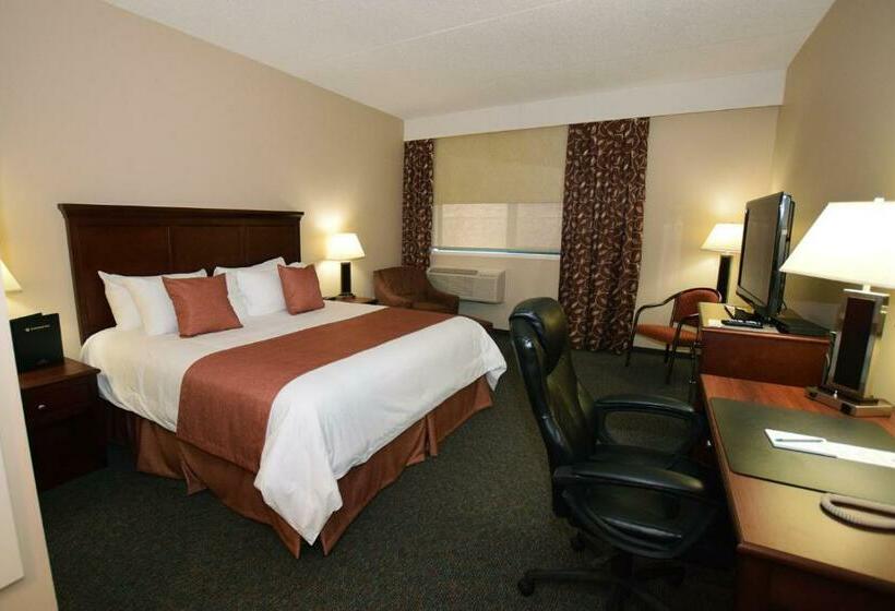 اتاق استاندارد با تخت بزرگ, Lakeland Inn