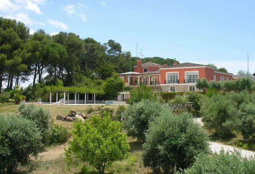سوییت دوبلکس, Quinta Tagus