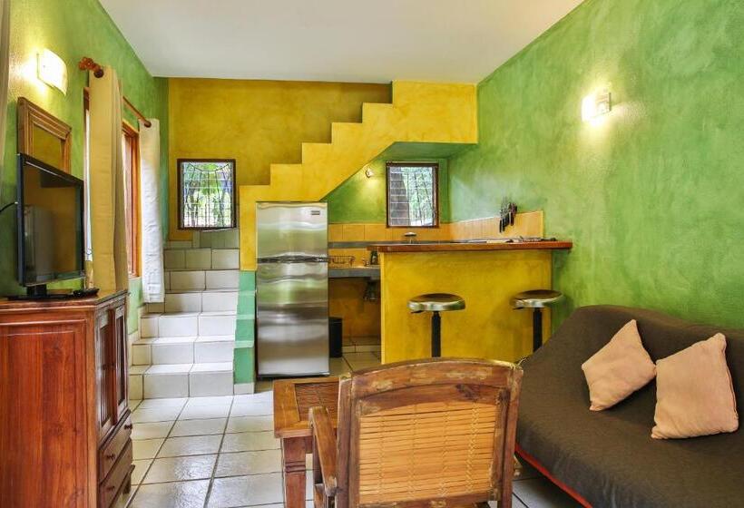 آپارتمان 1 خوابه, Villas Macondo