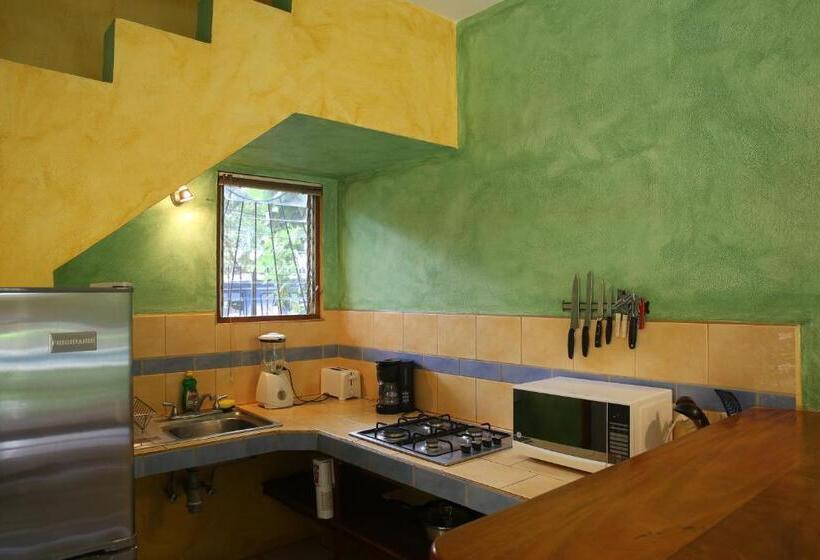 آپارتمان 1 خوابه, Villas Macondo