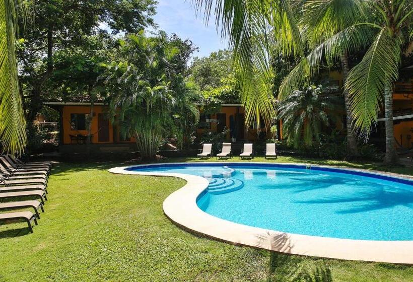 اتاق استاندارد, Villas Macondo