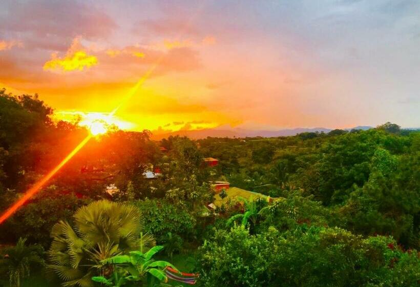 اتاق استاندارد, Vista Linda Montaña
