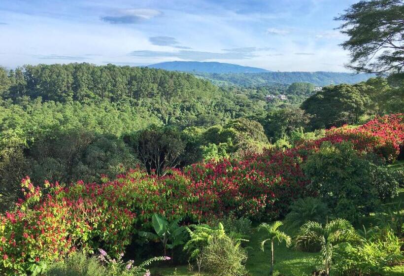 اتاق خانوادگی, Vista Linda Montaña