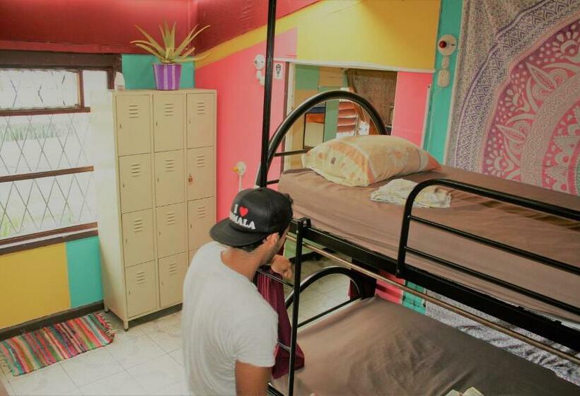 تختخواب در اتاق مشترک, In The Wind Hostel And Guesthouse