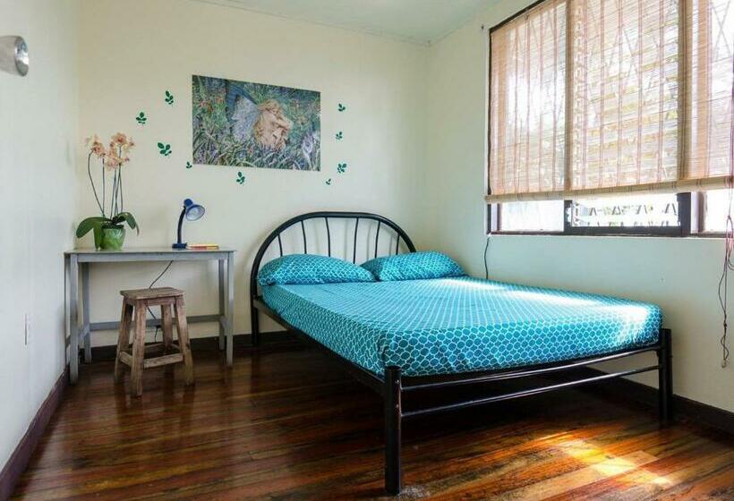 اتاق استاندارد با سرویس بهداشتی مشترک, In The Wind Hostel And Guesthouse