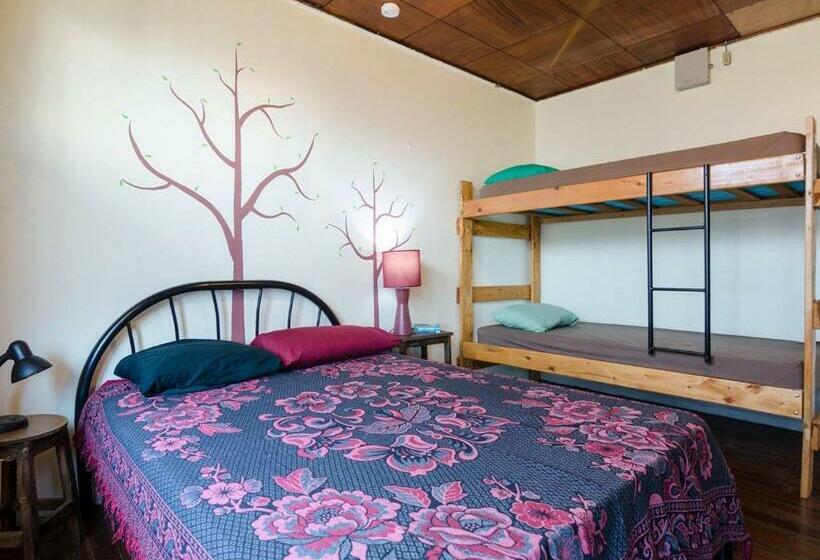 اتاق استاندارد, In The Wind Hostel And Guesthouse