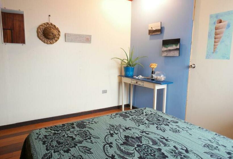 اتاق استاندارد, In The Wind Hostel And Guesthouse
