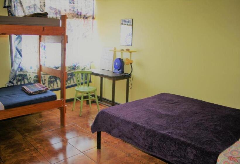 اتاق خانوادگی با سرویس بهداشتی مشترک, In The Wind Hostel And Guesthouse