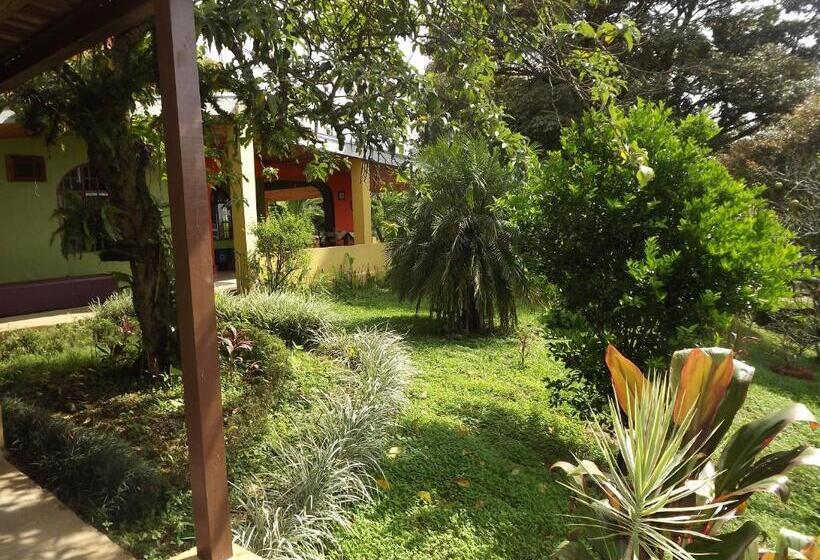اتاق استاندارد با تخت بزرگ, Aparthotel Villa Pacande & Suites