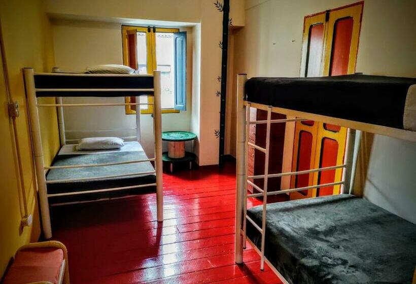 اتاق استاندارد, Golden Frog Manizales