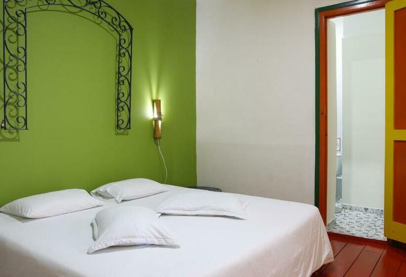 اتاق لوکس, Golden Frog Manizales