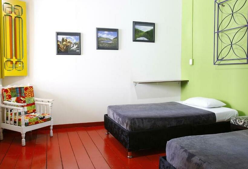 اتاق استاندارد, Golden Frog Manizales