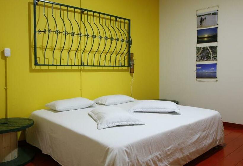 اتاق لوکس, Golden Frog Manizales