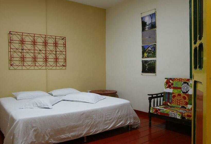 اتاق لوکس, Golden Frog Manizales