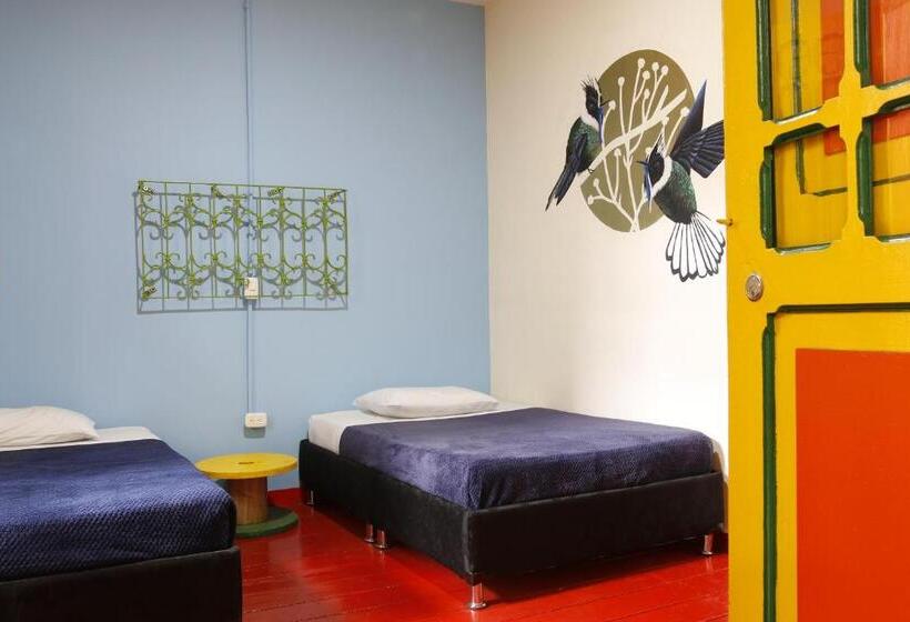 اتاق استاندارد, Golden Frog Manizales