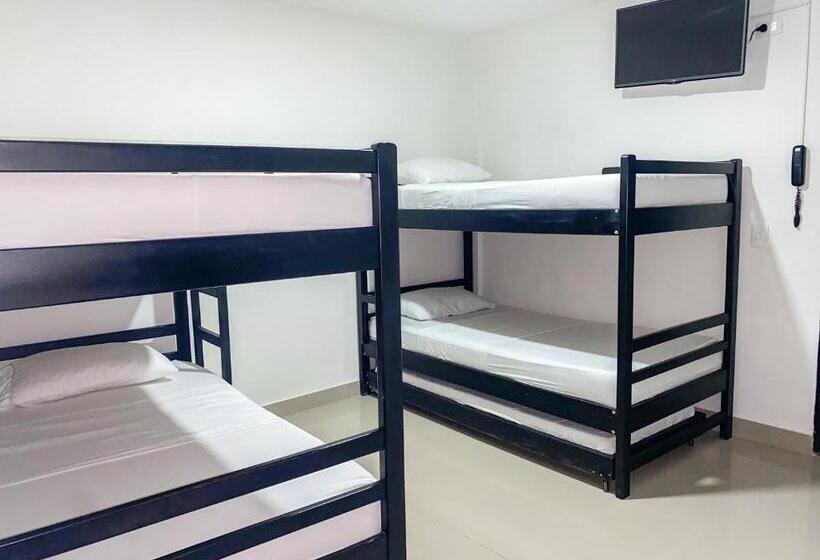 تختخواب در اتاق مشترک, Hostal Viña Del Mar
