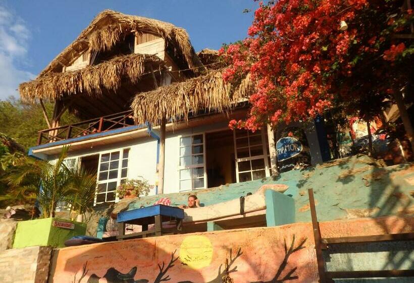 اتاق لوکس, Hostal Casa Horizonte