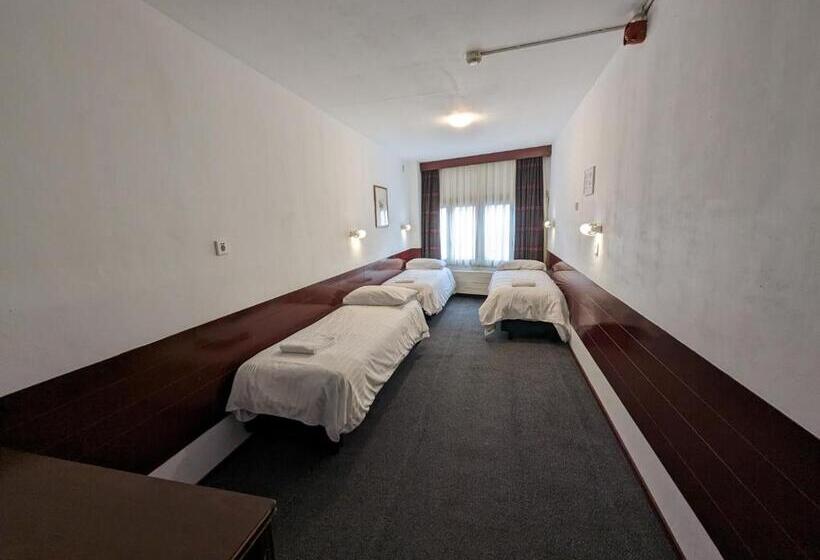 اتاق استاندارد سه نفره, Budget Hotel Ben
