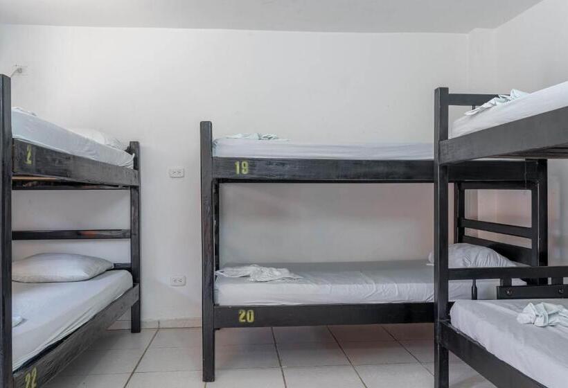 تختخواب در اتاق مشترک, Hostel Nirvana Taganga