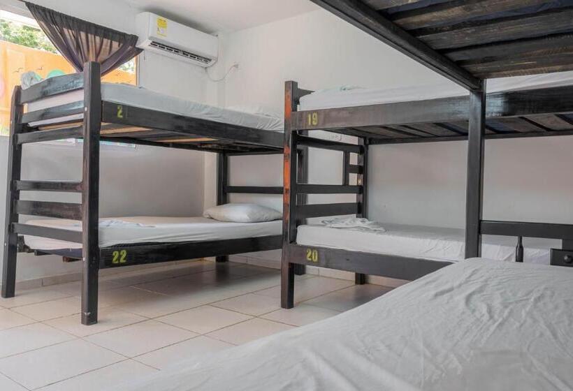 تختخواب در اتاق مشترک, Hostel Nirvana Taganga