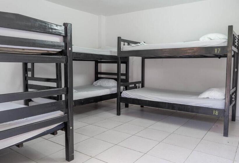 تختخواب در اتاق مشترک, Hostel Nirvana Taganga