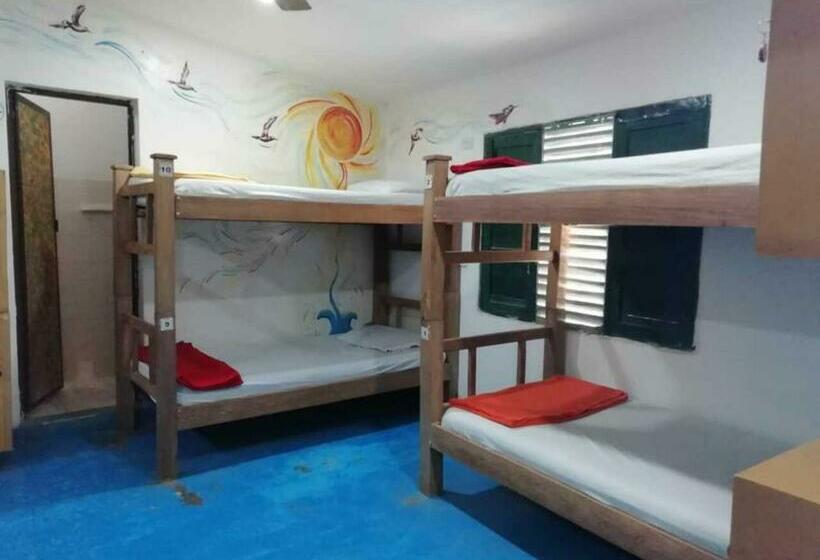 تختخواب در اتاق مشترک, Hostel Villa Mary