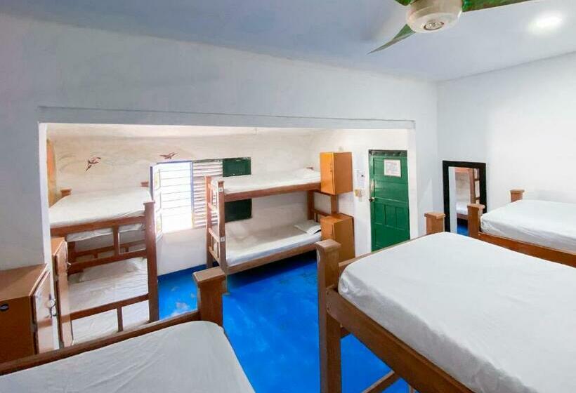 تختخواب در اتاق مشترک, Hostel Villa Mary