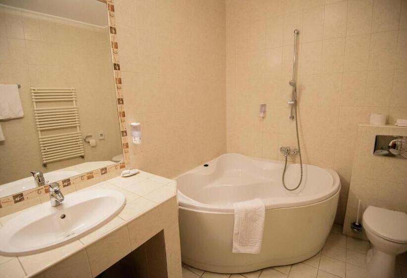 اتاق استاندارد یک نفره, Alinalex   Paradisul Acvatic