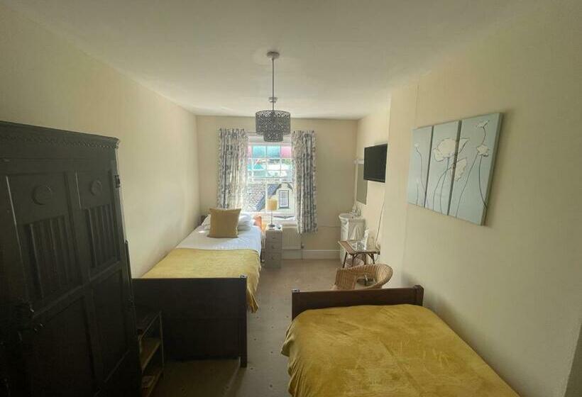 اتاق استاندارد یک نفره, Bryncelyn Guesthouse