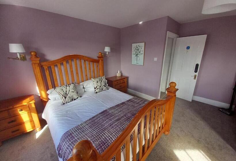 اتاق استاندارد با تخت بزرگ, Bryncelyn Guesthouse