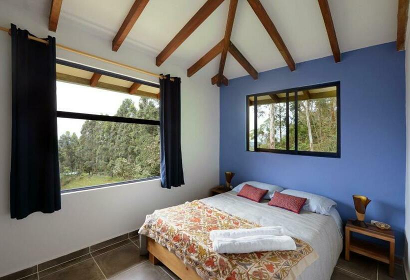 آپارتمان 1 خوابه با چشم‌انداز, Ecoresort Gran Azul