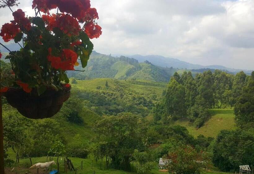 اتاق استاندارد با چشم‌انداز کوهستان, Ecoresort Gran Azul