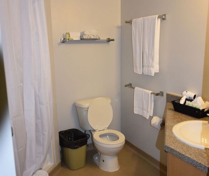 سوئیت 2 خوابه, Residence & Conference Centre   London