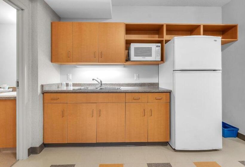 سوئیت 2 خوابه, Residence & Conference Centre   London