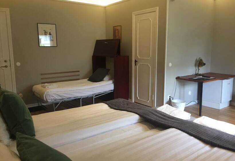اتاق سوپریور سه تخته, Södra Hotellet