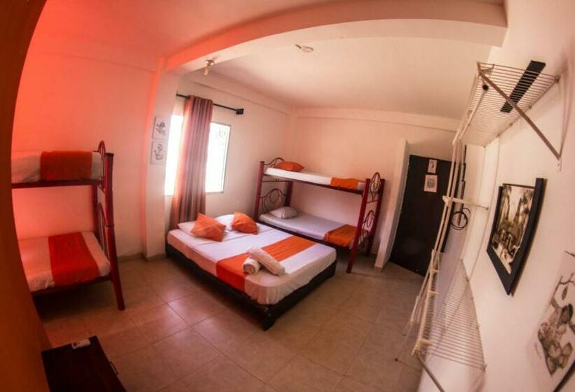 اتاق خانوادگی, Taganga Dive Inn