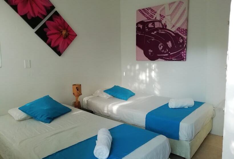 اتاق استاندارد, Taganga Dive Inn
