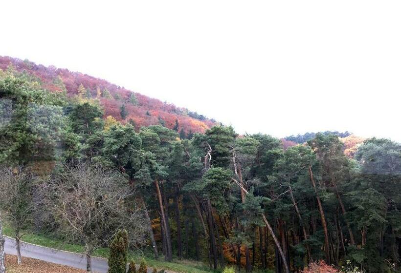 اتاق لوکس با چشم‌انداز, The Pines Boutique Villa