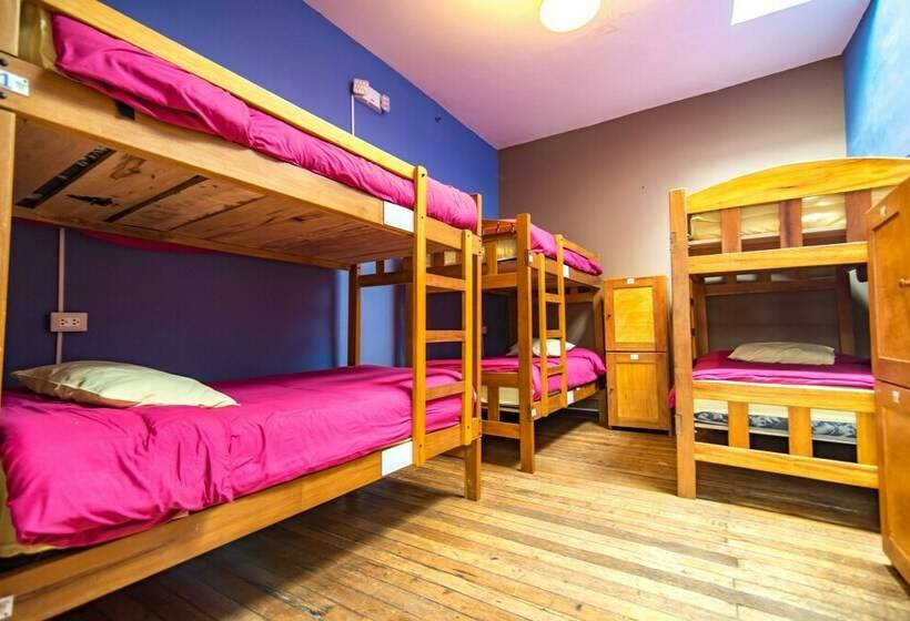 تختخواب در اتاق مشترک, Inka Wild Hostel